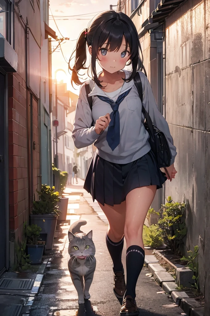 one girl in school uniform picking up a grey cat from the ground, alleyway, sunset