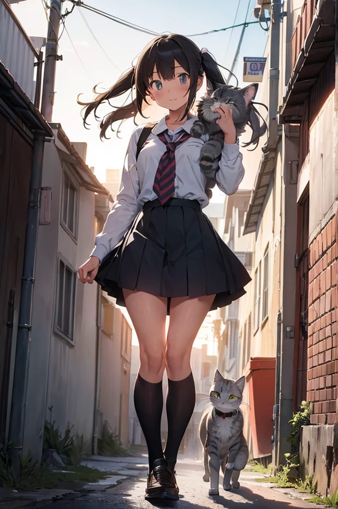 one girl in school uniform lifting a grey cat from the ground, alleyway, sunset