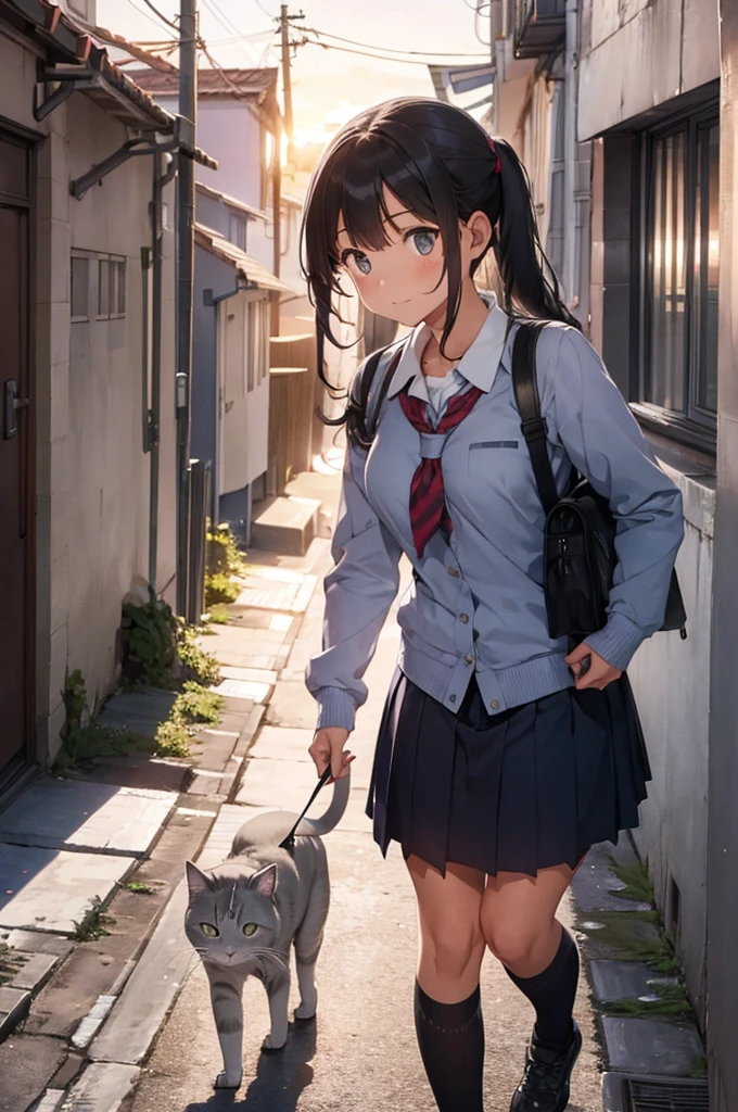 one girl in school uniform picking up a grey cat from the ground, alleyway, sunset, 30mm lens