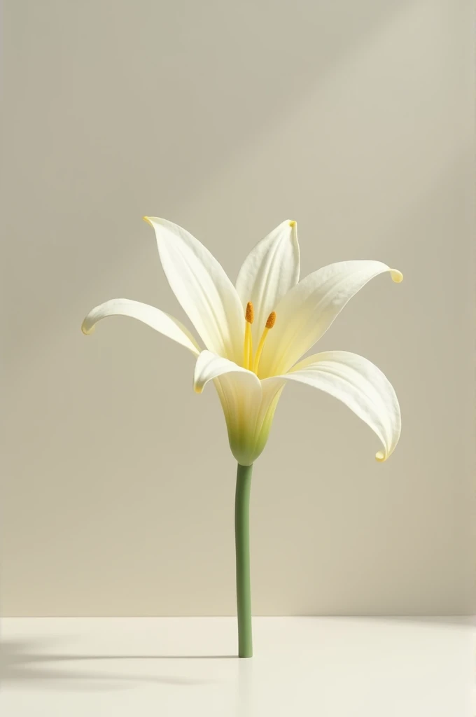 Still life with vanilla flower