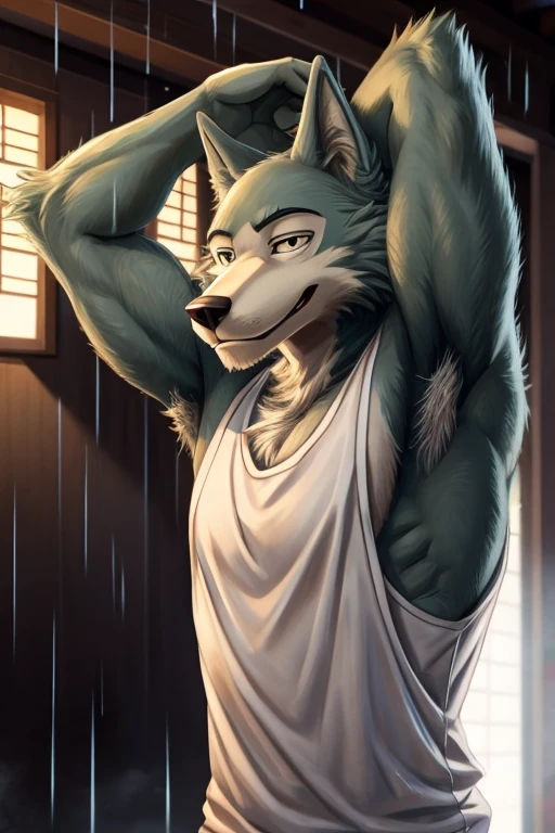 Male, wolf, legoshi, beastars, smile expression, masculine, raised arm, showing armpit, hairy armpit, Japanese, white sleeveless shirt, rain