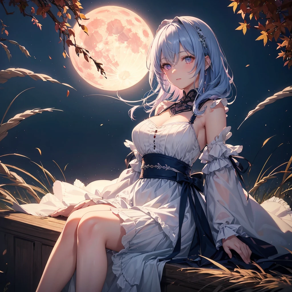 (Sky blue medium hair), (Pink eyes),(Fair skin) ,(whole body),(One Girl),(harvest moon),(A large amount of Miscanthus sinensis in the background),autumn,(full moon),(masterpiece, Highest quality, Very detailed, Best Shadow), (Detailed Background), (Beautifully detailed face), High Contrast, (Best lighting, Very delicate and beautiful), ((Cinematic Light)), Hyper Detail,8k, Dramatic Light, Intricate details