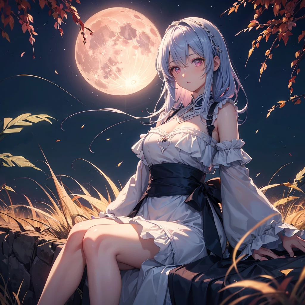 (Sky blue medium hair), (Pink eyes),(Fair skin) ,(whole body),(One Girl),(harvest moon),(A large amount of Miscanthus sinensis in the background),autumn,(full moon),(masterpiece, Highest quality, Very detailed, Best Shadow), (Detailed Background), (Beautifully detailed face), High Contrast, (Best lighting, Very delicate and beautiful), ((Cinematic Light)), Hyper Detail,8k, Dramatic Light, Intricate details