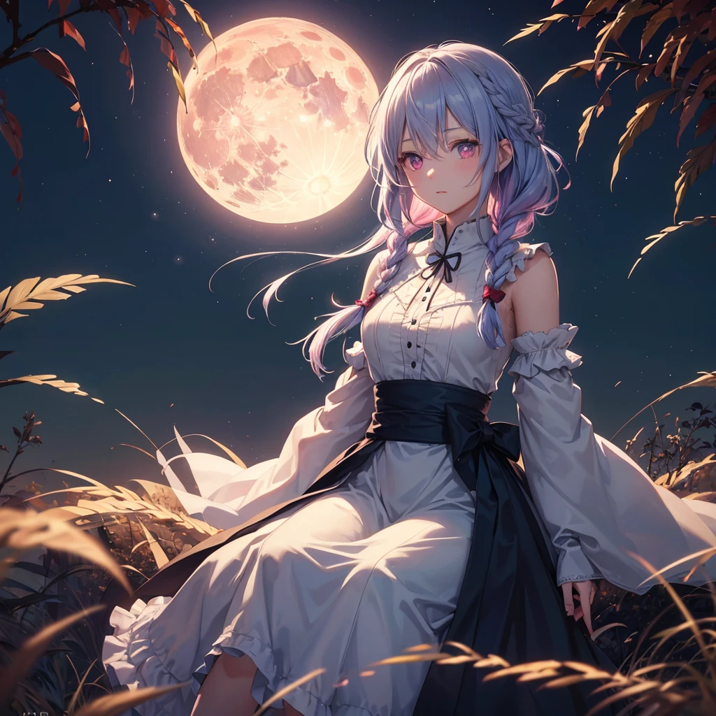 (Sky blue medium braided hair), (Pink eyes),(Fair skin) ,(whole body),(One Girl),(harvest moon),(A large amount of Miscanthus sinensis in the background),autumn,(full moon),(masterpiece, Highest quality, Very detailed, Best Shadow), (Detailed Background), (Beautifully detailed face), High Contrast, (Best lighting, Very delicate and beautiful), ((Cinematic Light)), Hyper Detail,8k, Dramatic Light, Intricate details