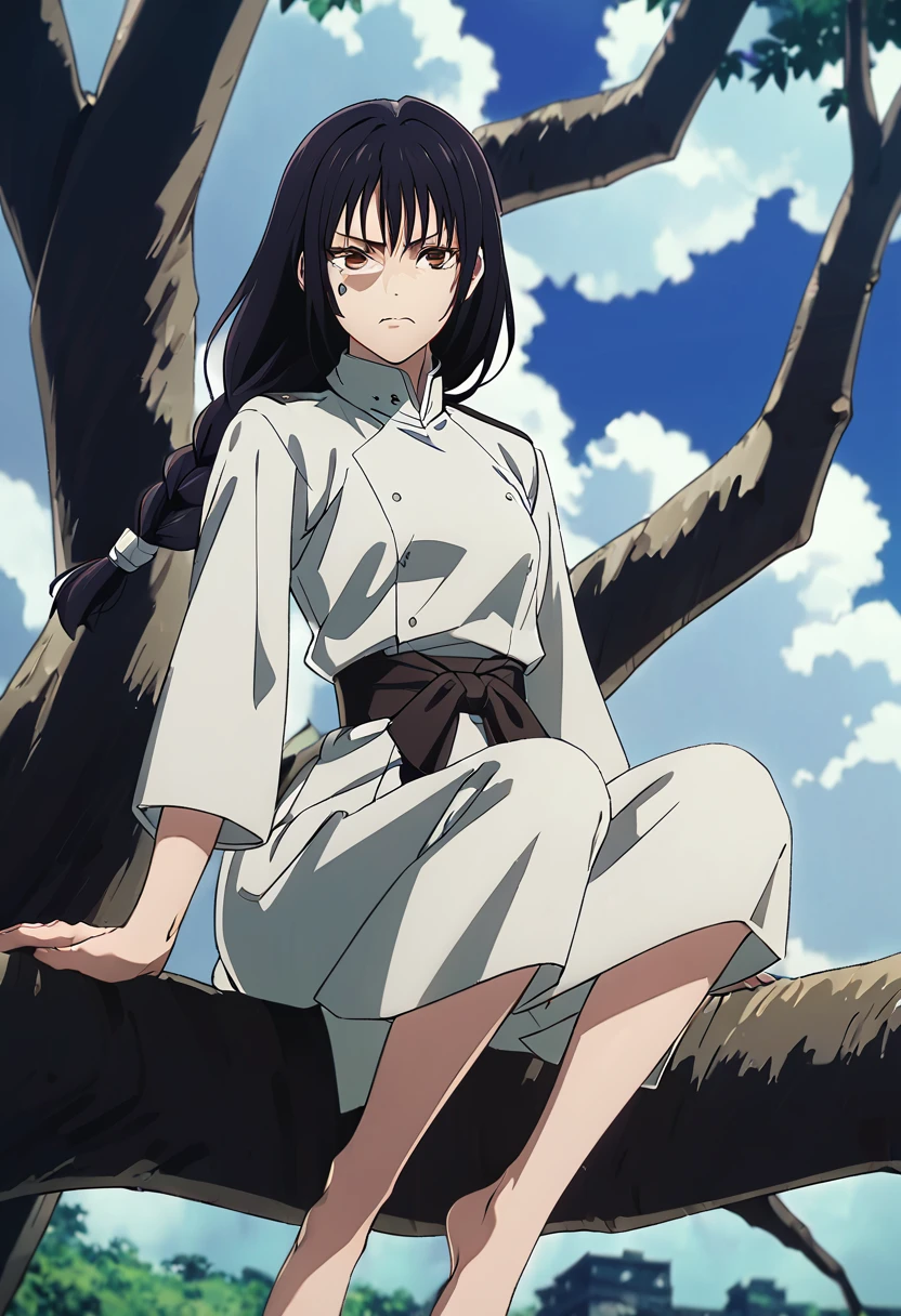 Girl with long braided black hair, golden eyes, dressed in jujutsu uniform, sitting on a tree branch looking seriously at the sky, anime capture