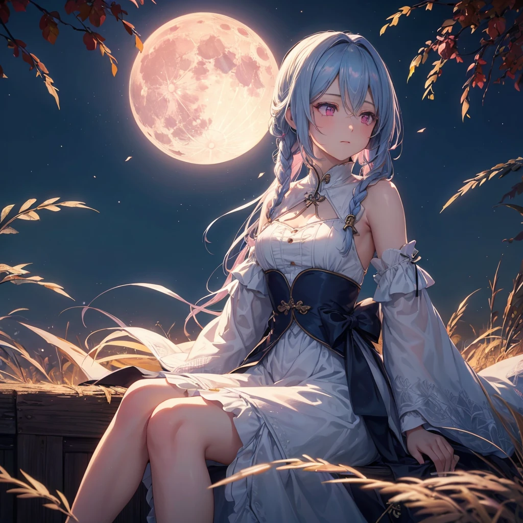 (Braiding),(Sky blue medium hair), (Pink eyes),(Fair skin)  ,(whole body),(One Girl),(harvest moon),(A large amount of Miscanthus sinensis in the background),autumn,(full moon),(masterpiece, Highest quality, Very detailed, Best Shadow), (Detailed Background), (Beautifully detailed face), High Contrast, (Best lighting, Very delicate and beautiful), ((Cinematic Light)), Hyper Detail,8k, Dramatic Light, Intricate details