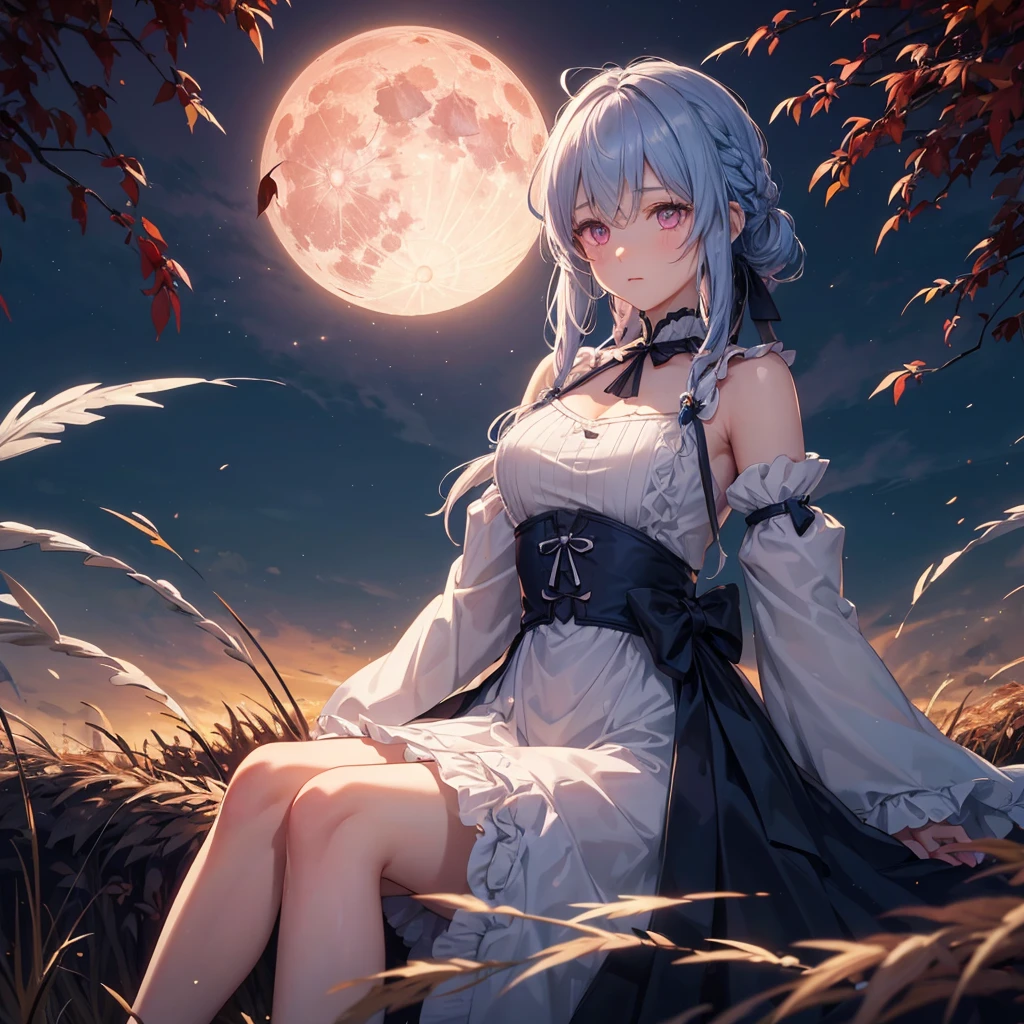 (Braiding),(Sky blue medium hair), (Pink eyes),(Fair skin) ,(whole body),(One Girl),(harvest moon),(A large amount of Miscanthus sinensis in the background),autumn,(full moon),(masterpiece, Highest quality, Very detailed, Best Shadow), (Detailed Background), (Beautifully detailed face), High Contrast, (Best lighting, Very delicate and beautiful), ((Cinematic Light)), Hyper Detail,8k, Dramatic Light, Intricate details,Maple
