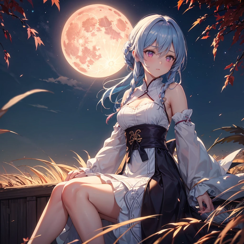 (Braiding),(Sky blue medium hair), (Pink eyes),(Fair skin) ,(whole body),(One Girl),(harvest moon),(A large amount of Miscanthus sinensis in the background),autumn,(full moon),(masterpiece, Highest quality, Very detailed, Best Shadow), (Detailed Background), (Beautifully detailed face), High Contrast, (Best lighting, Very delicate and beautiful), ((Cinematic Light)), Hyper Detail,8k, Dramatic Light, Intricate details,Maple