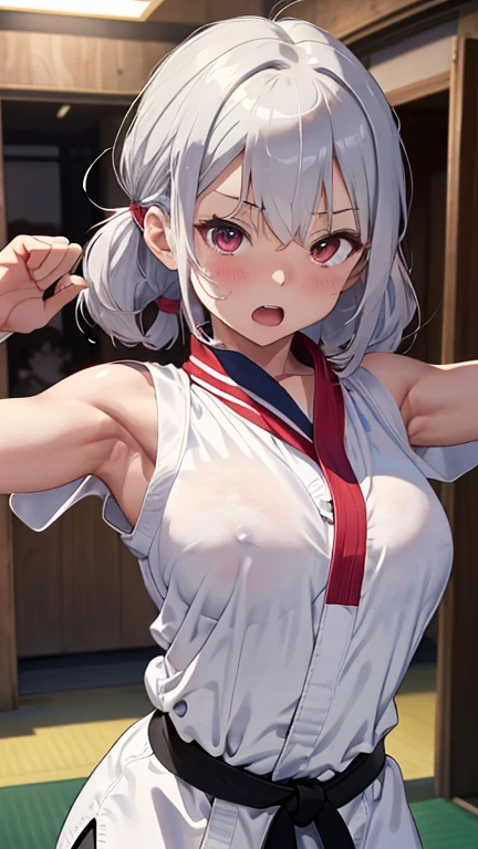 mastute piece,Best Quality,insanely detailed,8k cg,nsfw,
(shoot upper body:1.3),
(1girls:1.3),standing,looking at viewr,body in front,(arms behind back:1.4),(karate uniform:1.4,doges:1.4),karate、(bare breasts:1.3),(open doges:1.2),BREAK,
blush,shy,(ecstasy face),(trembling:1.2),BREAK,(light silver hair:1.3),
BREAK,
perfect breasts,perfect teats,(open mouth:0.9),(large breasts:1.2),
(karate-dojo),karate道場、