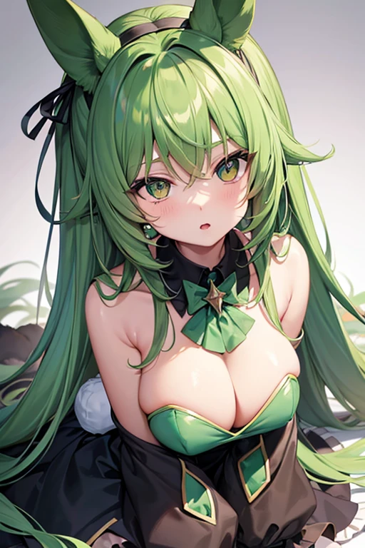 Rabbit Beast Girl,anime,Hanekke,thin,Round eyes,Green Eyes,