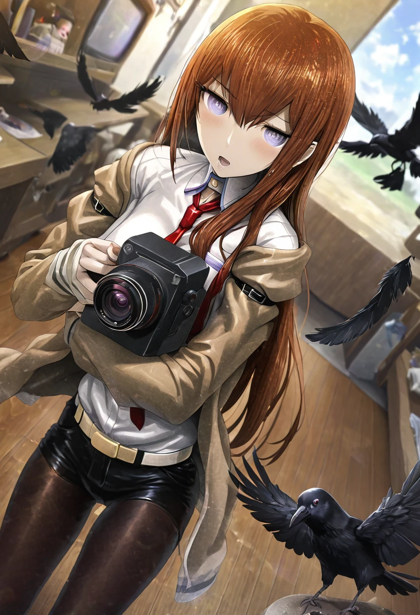 (makise kurisu, Steinsgate),Crow, masterpiece, Highest quality, Very detailed, Full HD, 16K, Absurd, Dynamic Angle, Huge scale, Golden Ratio, Lens flare, Pinhole camera, Fisheye Lens, Blurry background in focus