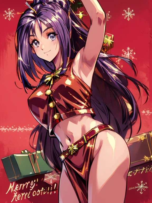 ((masterpiece)),((Ayako Katagiri)),((Katagiri Ayako)),((Mischievous Smile)),Anatomically perfect fingers,(((Christmas))),(((Santa Claus Costume))),winter,Separate costumes,Exposed navel