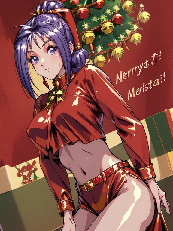 ((masterpiece)),((Ayako Katagiri)),((Katagiri Ayako)),((Mischievous Smile)),Anatomically perfect fingers,(((Christmas))),(((Santa Claus Costume))),winter,Separate costumes,Exposed navel