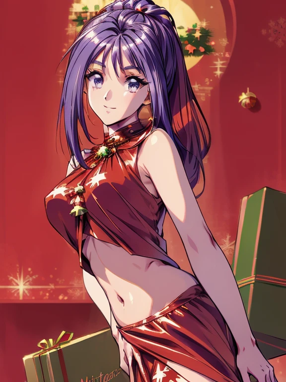 ((masterpiece)),((Ayako Katagiri)),((Katagiri Ayako)),((Mischievous Smile)),Anatomically perfect fingers,(((Christmas))),(((Santa Claus Costume))),winter,Separate costumes,Exposed navel