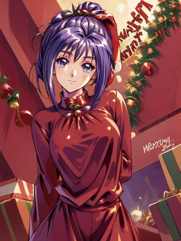((masterpiece)),((Ayako Katagiri)),((Katagiri Ayako)),((Mischievous Smile)),Anatomically perfect fingers,(((Christmas))),(((Santa Claus Costume))),winter,Separate costumes,Exposed navel,sexy