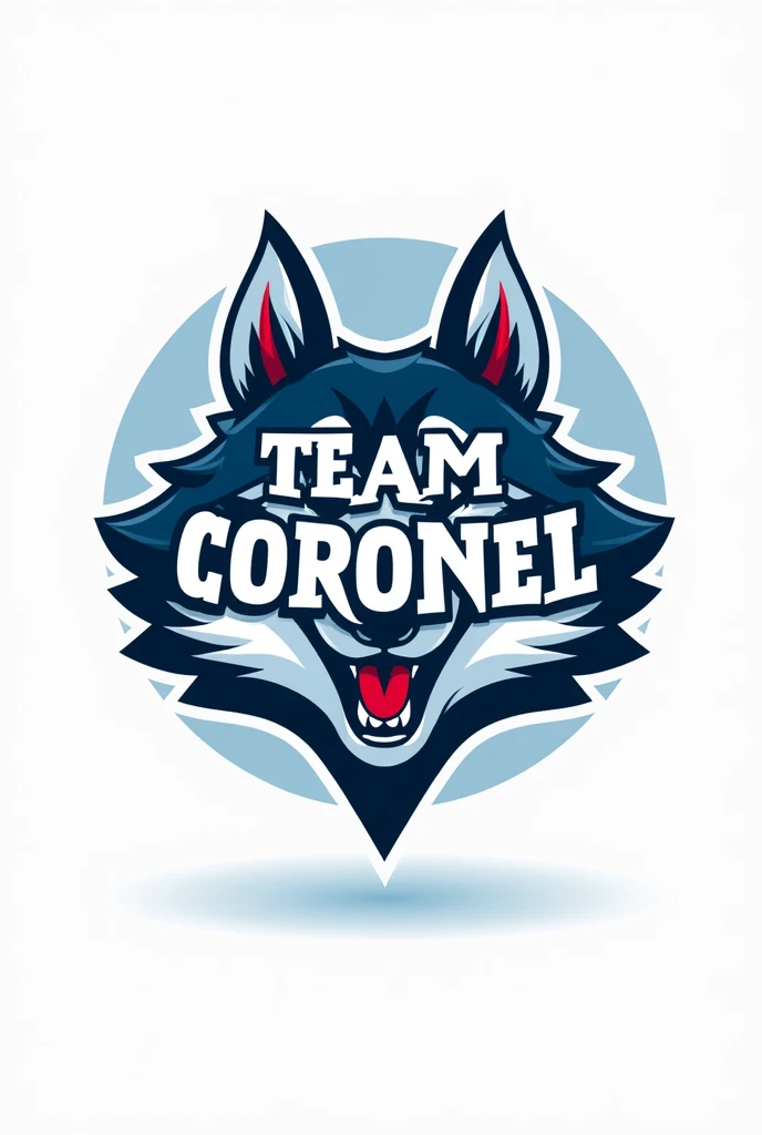 A logo with the word "TEAM CORONEL" related to a hosquie


