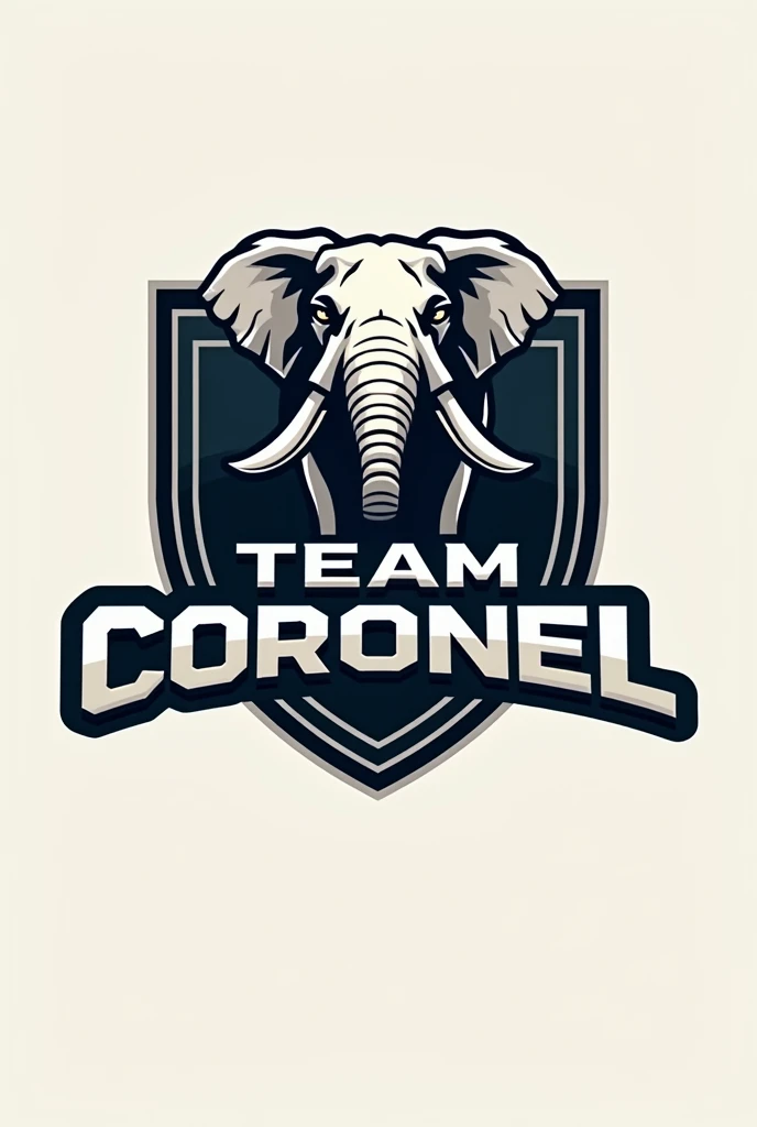 A logo with the word "TEAM CORONEL" related to an elephant 



