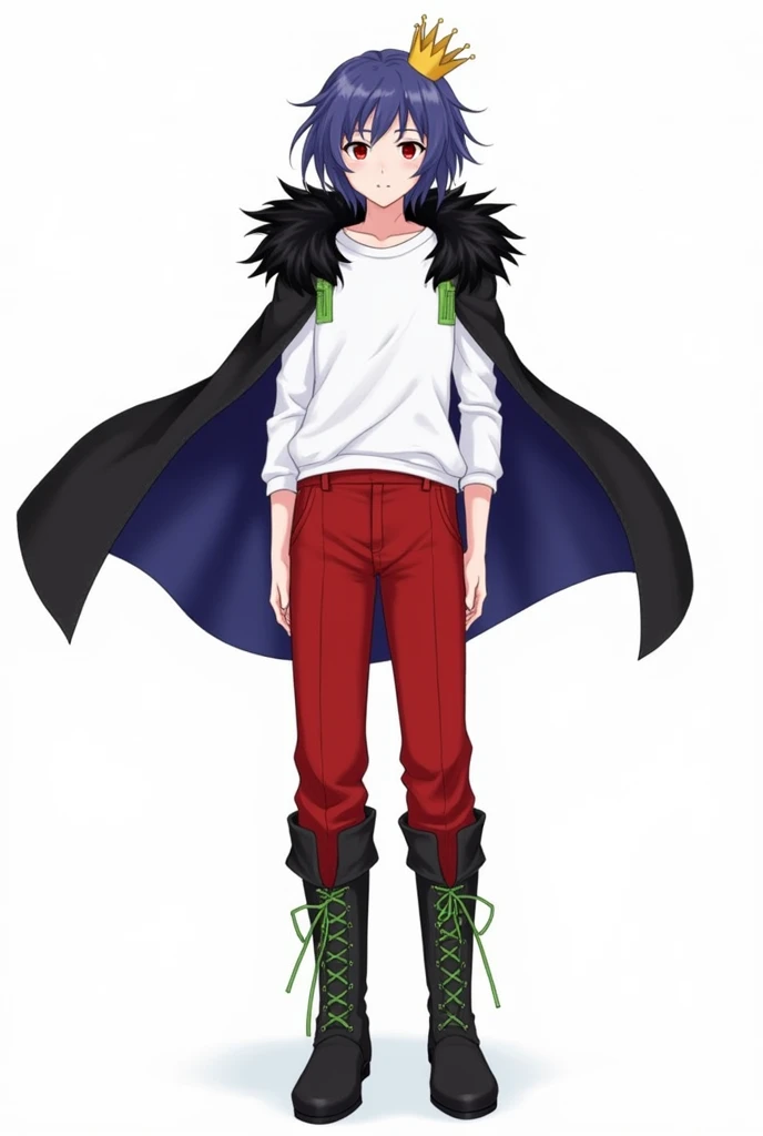 A small, plain golden crown is worn on the upper left side of the head.、Blue-purple short hair(Sideburns、bangs)、Black fur on shoulders、One black cloak、The cape is worn without the sleeves in place、Both eyes are red、A plain white t-shirt with elbow-length sleeves、Red long sleeve trousers、black long boots(Green shoelaces)