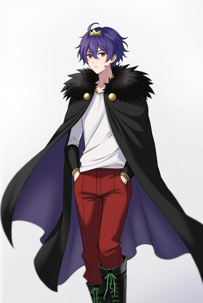 A man around twenty years old、A small, plain golden crown is worn on the upper left side of the head.、Blue-purple short hair(Sideburns、bangs)、Black fur on shoulders、One black cloak、The cape is worn without the sleeves in place、Both eyes are red、A plain white t-shirt with elbow-length sleeves、Red long sleeve trousers、black long boots(Green shoelaces)