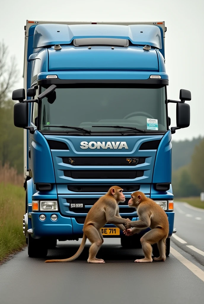 Hi. take a picture in which there is a European truck from the front and a monkey elbowing it on the ground on both sides, like two drivers