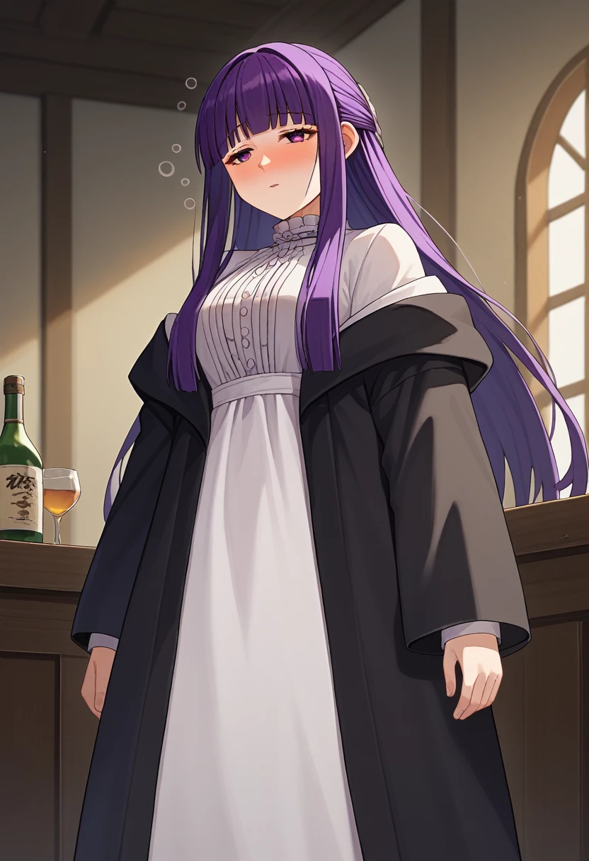 score_9, score_8_up, score_7_up, source_anime, 1girl, fern \(sousou no frieren\), purple hair, long hair, blunt bangs, half updo, open robe, long dress, drunk, three sided view, gothic