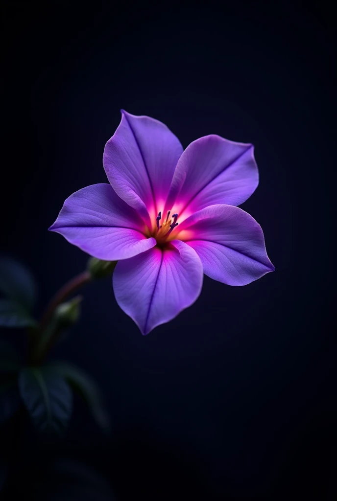 Realistic photo. Firefly Petunia glowing in black background.