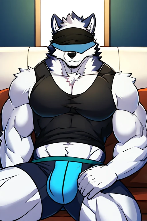 Alaskan Malamute dog black and white fur, muscular, with black sleeveless shirt, furry, with eyes covered, blue underwear, on the couch