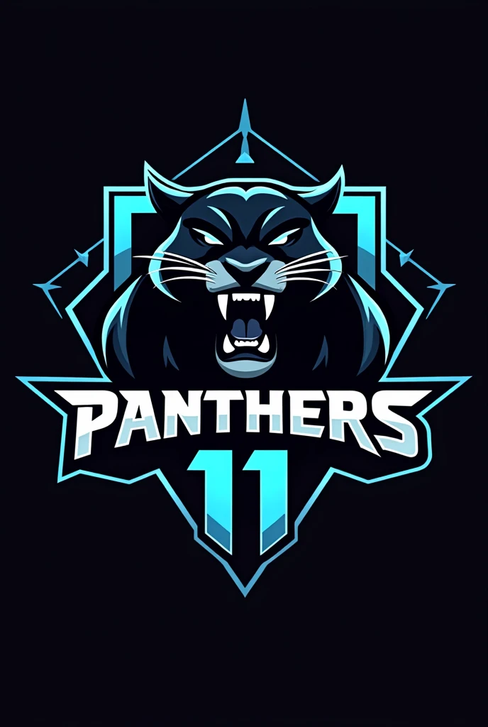 A team logo naming the team PANTHERS 11