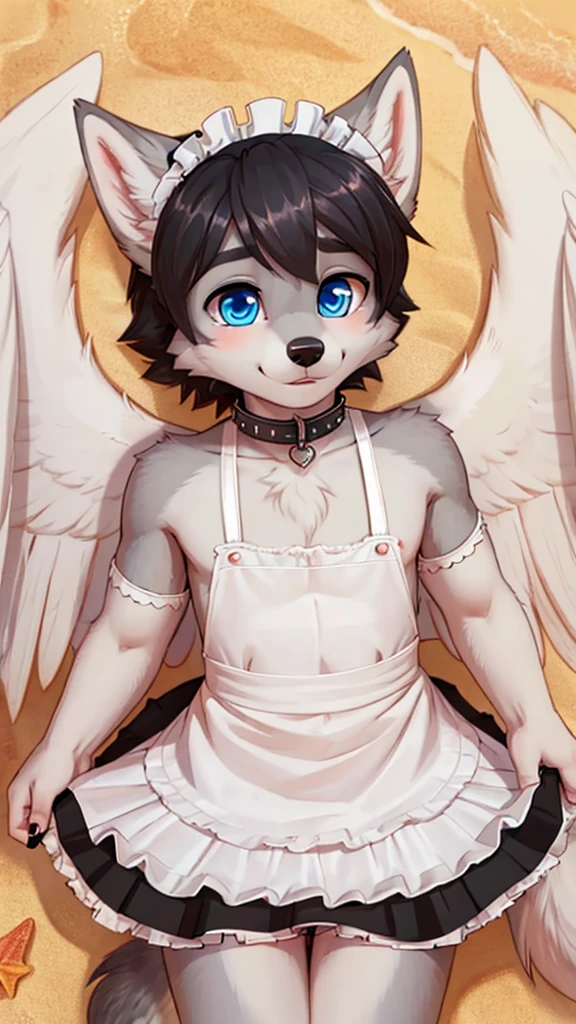 femboy, wolf boy, male, maid outfit, flat chested,  thin metal collar, grey fur, white feathered wings, blue eyes, beach setting, 