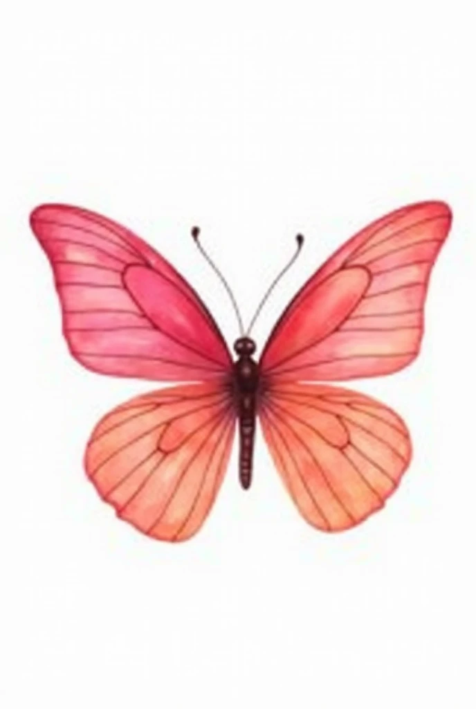 pink and melon colored butterfly , that has rounded wings, that is pretty in watercolor and is in front without a background 