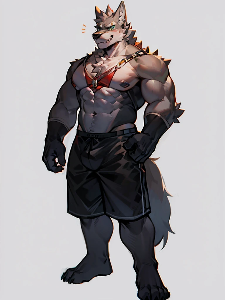 gray wolf orc,Very strong,Full body picture,front,Wear tight shorts,Private part thick,Standing,Hands in front,Uncle,tall。