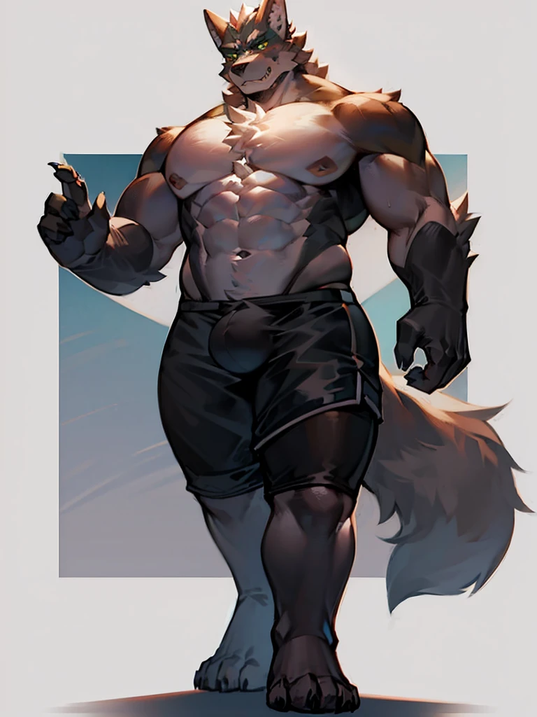 gray wolf orc,Very strong,Full body picture,front,Wear tight shorts,Private part thick,Standing,Hands in front,Uncle,tall。