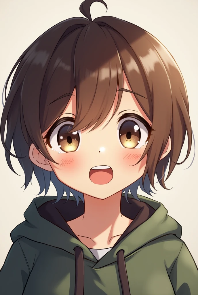 A boy with big eyes, small pupils, slightly slanted eyes, and cat-like eyes.、She has double teeth, is short, and has brown hair.、Wearing a hoodie