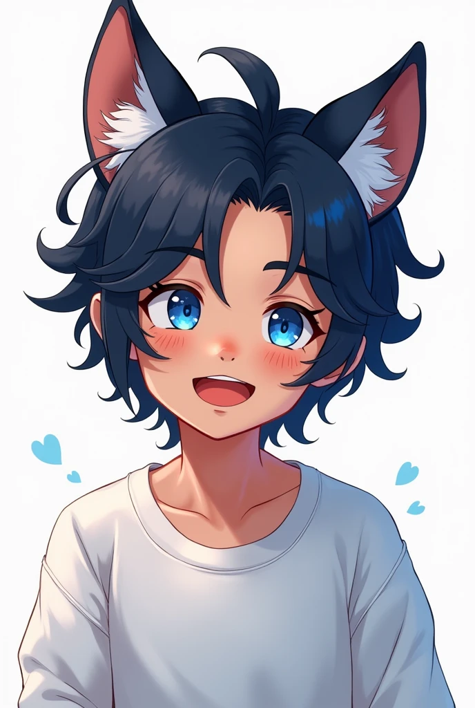 Create a boy pngtuber with wolf ears,blue and black hair,a white sweatshirt,blue colored eyes,and brown skin/pale(image with expressions together)