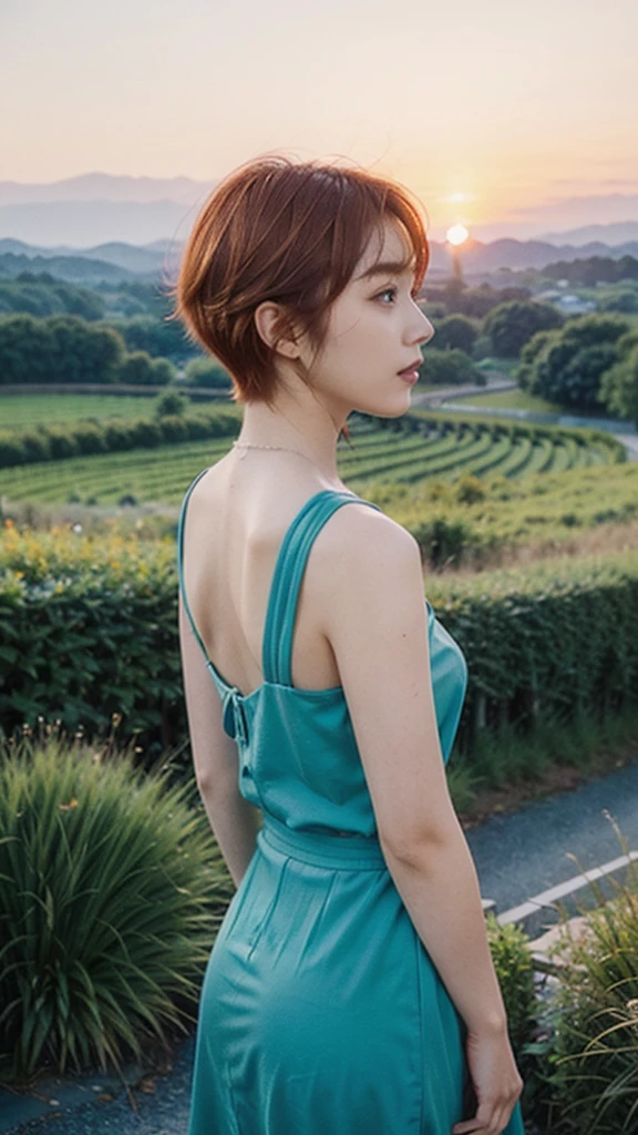 Model actress、One Woman、Singer-songwriter、cool、cute、Japanese and half European、Bright orange hair colour、short hair、Sunset landscape、Country road、Back view