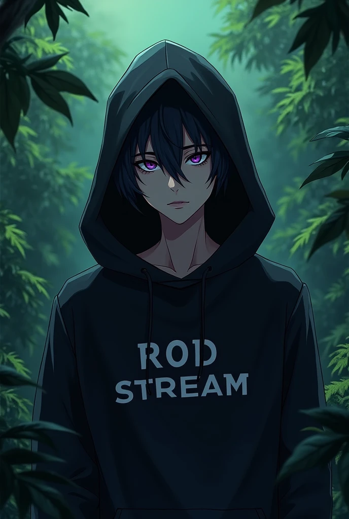 naughty man,smooth face like anime,eye right pupil purple color,black cowl,ROD STREAM written in the center of the garment,greenery background,HD.