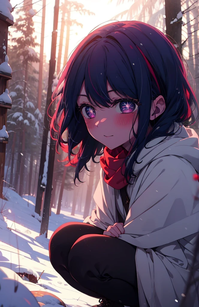 aihoshino, Ai Hoshino, Long Hair, bangs, (Purple eyes:1.1), Purple Hair, (Symbol-shaped pupil:1.5), smile,,smile,blush,white breath,
Open your mouth,snow,Ground bonfire, Outdoor, boots, snowing, From the side, wood, suitcase, Cape, Blurred, , forest, White handbag, nature,  Squat, Mouth closed, Cape, winter, Written boundary depth, Black shoes, red Cape break looking at viewer, Upper Body, whole body, break Outdoor, forest, nature, break (masterpiece:1.2), Highest quality, High resolution, unity 8k wallpaper, (shape:0.8), (Beautiful and beautiful eyes:1.6), Highly detailed face, Perfect lighting, Highly detailed CG, (Perfect hands, Perfect Anatomy),