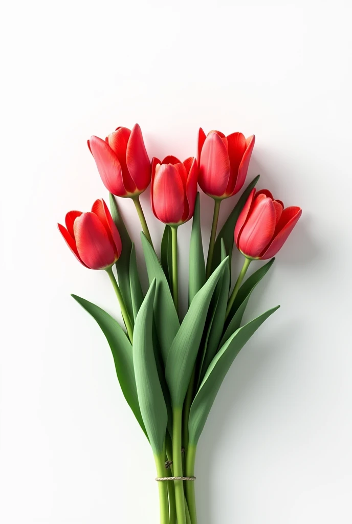(simple background, white background:2.0), ((masterpiece, top quality, high resolution, highly detailed CG unified 8K wallpaper)), (bouquet of red tulips:1.3), emphasizing the contrast between red and white,