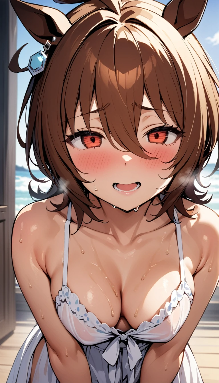 [One girl, Agnes Tachyon  \(umamusume\), umamusume],masterpiece,best quality,high resolution,nsfw,sundress,((sweat)))