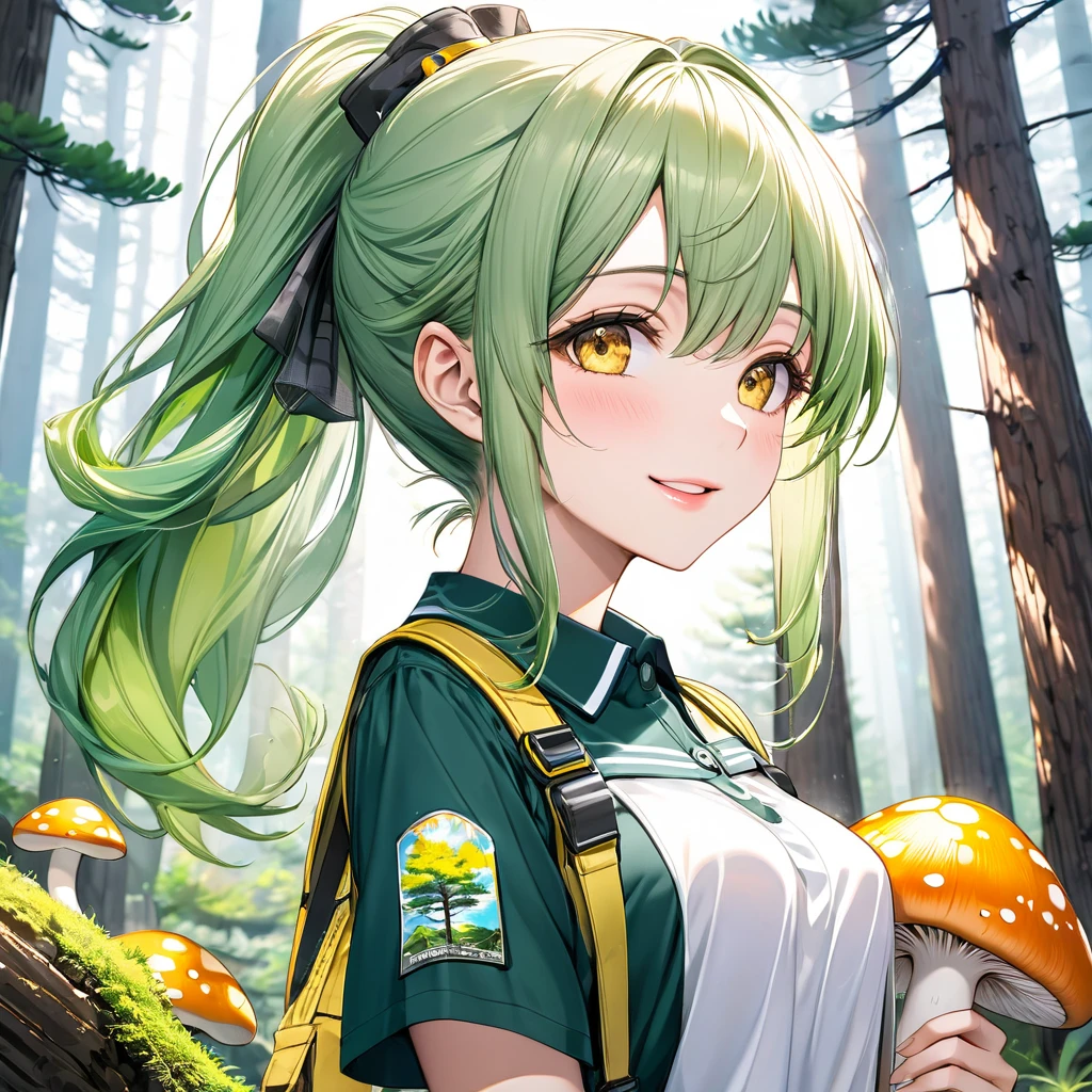 (Mountain Explorer style) (double exposure pastel color), (hand holding a detailed ecstasy brown pine straight mushroom), Smell the scent it, (solo:2, 15 yo) (beautiful ponytail) (beautiful pastel green hair long hair) (beautiful sexy girl) (detailed cute yellow eyes) (best smile, glossy lip) (medium tits), in a summer Speculator uniform, break, in the beautiful Pine forest, BREAK, perfect anatomy, masterpiece, best quality, 16k, beautiful detailed grow, daydreaming expression.