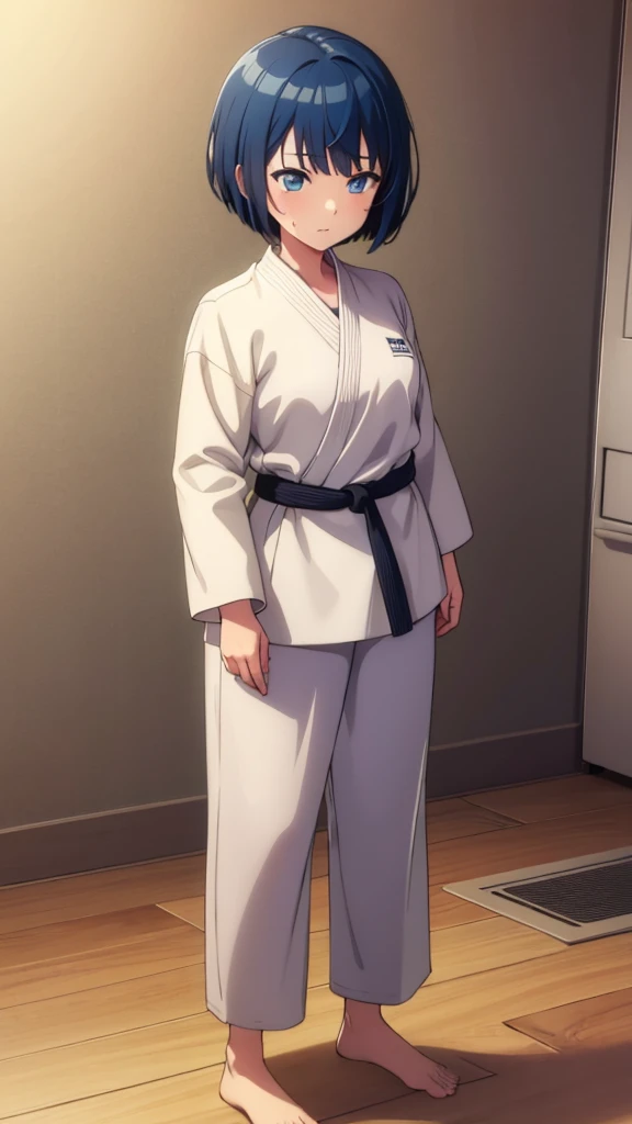 ((masterpiece, Highest quality, Very detailed, Very nice 8K CG wallpaper)), , A little thick, Medium Hair, Blue Hair, short hair, blue eyes,judo player、長袖judo着、Large bust、ロングjudoパンツ、judo、Cute expression、Inside the judo Gymnasium、、On the tatami、discovery、One Girl、Full body standing、rest、Haruka Kiritani、Bust Size C Cup、love affair、date、Confession、Sweating