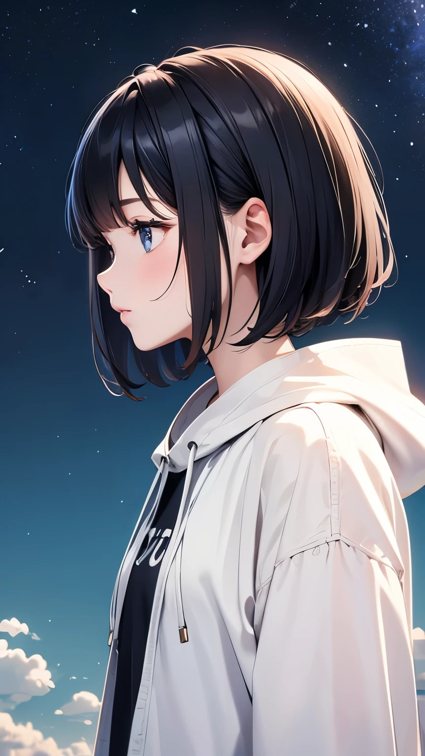 Master Painting、Highest quality、scenery、Night Sky、Starry Sky、woman、Very depressive、Black Hair、Bobcut、Look up at the sky、profile、Upper Body、White hoodie、Center of chest、Japanese。