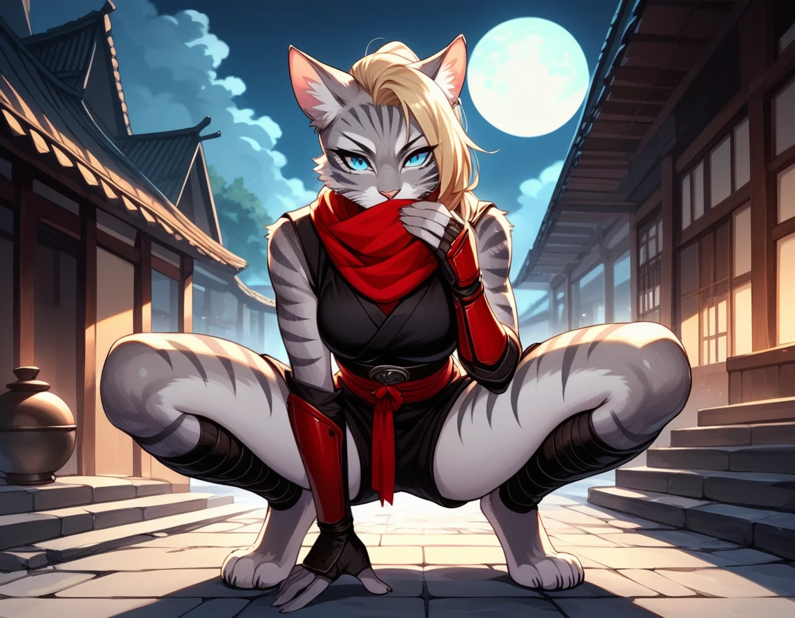 Duo, score_9,score_8_up,score_7_up, score_6_up, score_5_up, source_anime, Kat, female Anthro furry feline, silver fur, grey stripes on body, blue eyes, long blonde hair, undercut hair, one side of hair shaved, wearing red ninja scarf, scarf covering mouth, mouth covered by red scarf, black shinkbis tunic, black cloth shorts, feet paws four toes, feet and legs wrapped in bandages, shinobi ninja gauntlets, squatting, holding a kunai, nighttime, on top of a building, squatting on the edge of a building, full moon