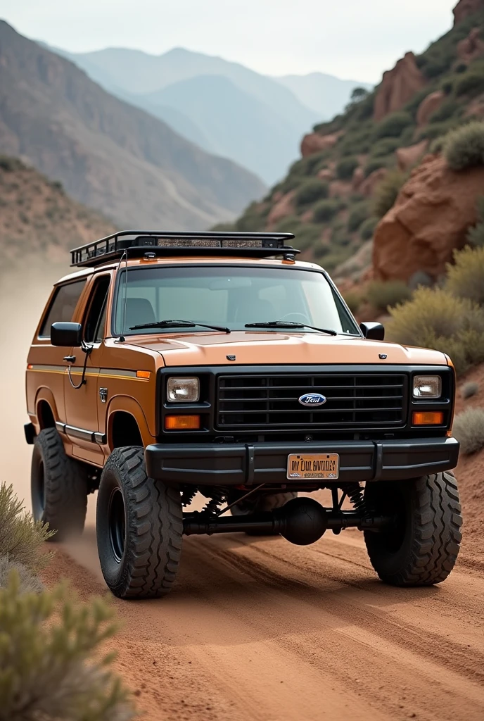 Custom 1985 Ford Bronco