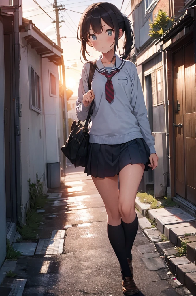 one girl in school uniform picking up a grey cat from the ground, alleyway, sunset, 50mm lens