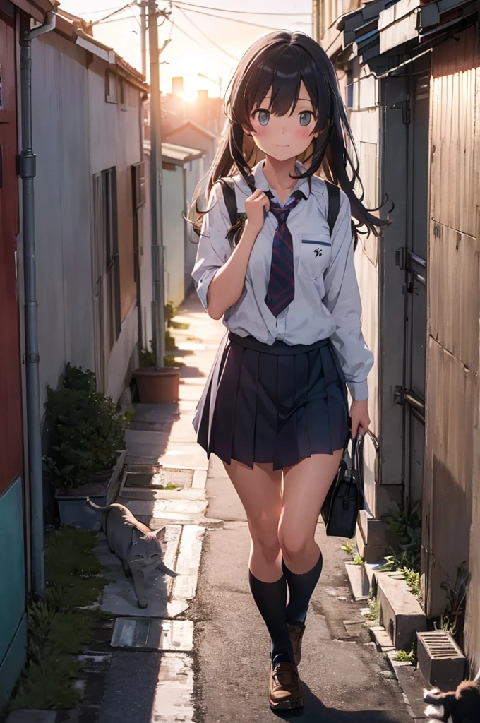 one girl in school uniform picking up a grey cat from the ground, alleyway, sunset, 50mm lens