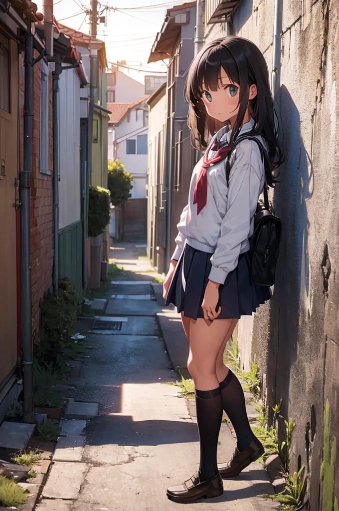 one girl in school uniform with a standing grey cat from the ground, alleyway, sunset, 50mm lens