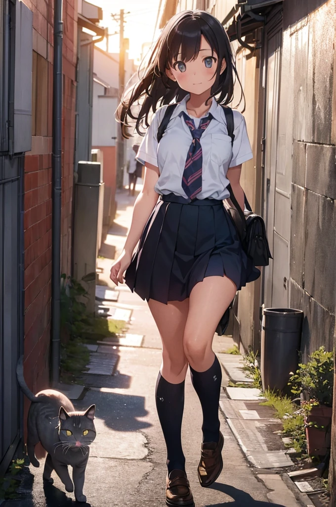 girl in school uniform with a grey cat hopping, alleyway, sunset, 50mm lens