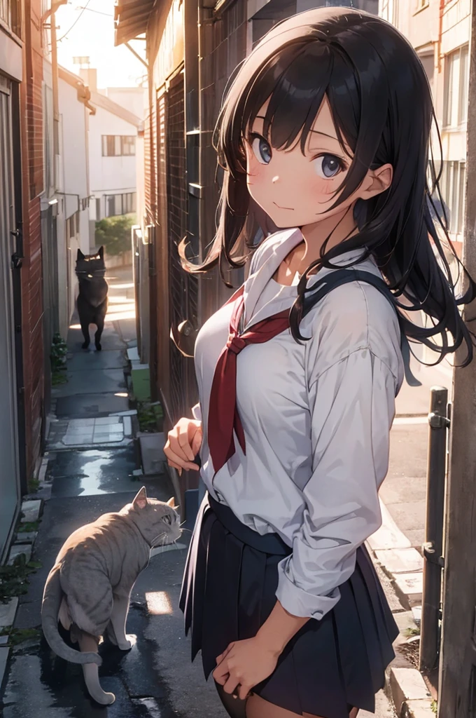 girl in school uniform with a grey cat, alleyway, sunset, 50mm lens