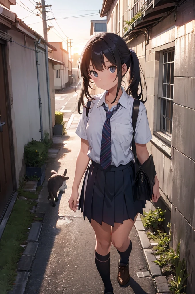 girl in school uniform with a grey kitten, alleyway, sunset, 50mm lens